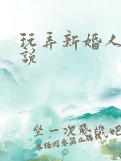 玩弄新婚人妻小说