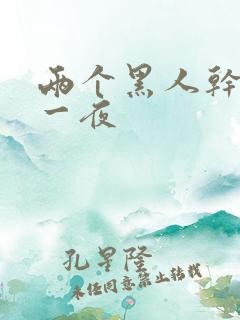 两个黑人干了我一夜