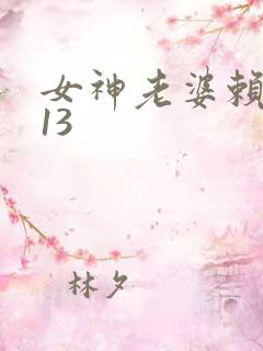 女神老婆赖上我13