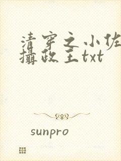 清穿之小佐领到摄政王txt