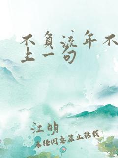 不负流年不负卿上一句