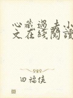 心藏过去小说原文在线阅读