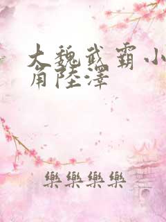 大魏武霸小说主角陆泽