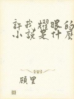 许我耀眼的原著小说是什么