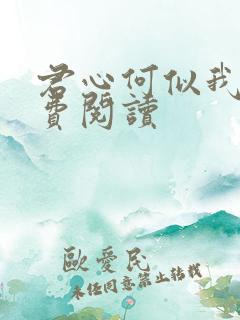 君心何似我心免费阅读