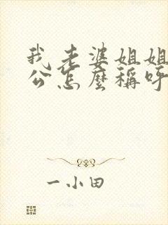 我老婆姐姐的老公怎么称呼