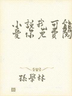 小说我可能不会爱你免费阅读