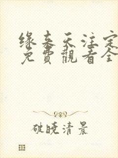 缘来天注定泰剧免费观看全集