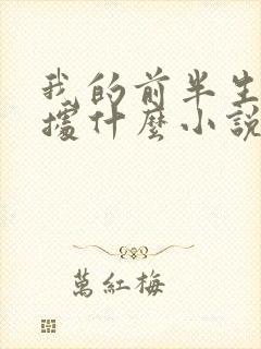 我的前半生是根据什么小说改编的