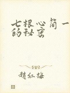 七根心简一万三的秘密
