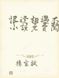 恨逢相遇不爱时小说免费阅读