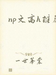 np文高h推荐
