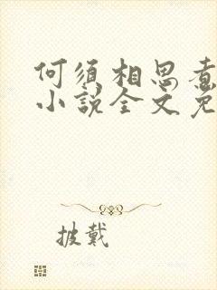 何须相思煮余年小说全文免费阅读