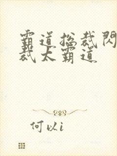 霸道总裁闪婚总裁太霸道