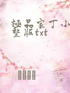 极品家丁小说完整版txt