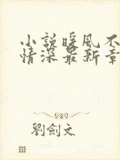 小说暖风不及你情深最新章节阅读季暖墨景深