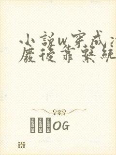 小说w穿成冷宫废后靠系统养娃逆袭》