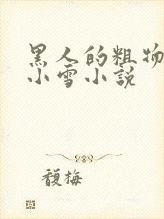 黑人的粗物进入小雪小说