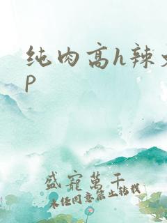 纯肉高h辣文np