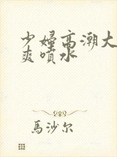 少妇高潮大叫好爽喷水