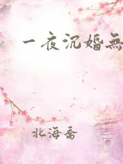 一夜沉婚无弹窗