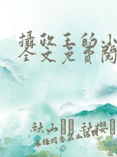 摄政王的小宠妃全文免费阅读