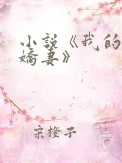 小说《我的极品娇妻》