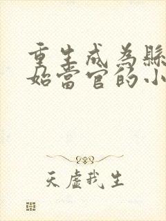 重生成为县长开始当官的小说