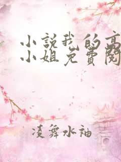 小说我的高冷大小姐免费阅读