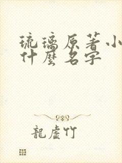 琉璃原著小说叫什么名字