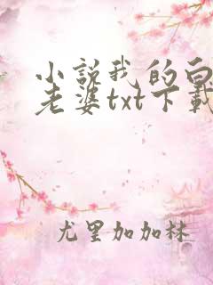 小说我的白富美老婆txt下载