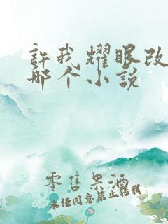 许我耀眼改编自哪个小说