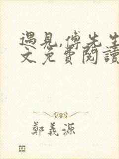 遇见,傅先生全文免费阅读