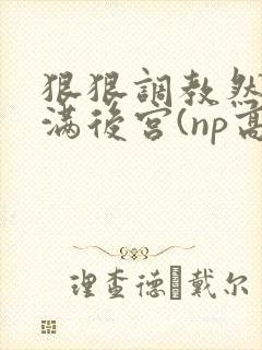 狠狠调教然后填满后宫(np高h)