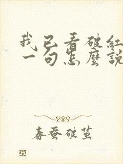 我已看破红尘下一句怎么说