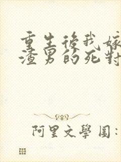 重生后我嫁给了渣男的死对头