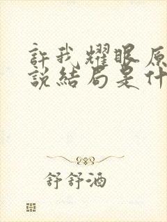 许我耀眼原著小说结局是什么