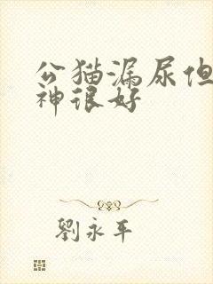 公猫漏尿但是精神很好