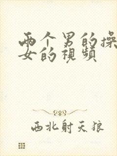 两个男的操一个女的视频