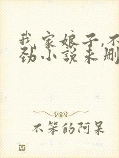我家娘子,不对劲小说未删版完整