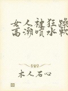 女人被狂躁c到高潮喷水软件