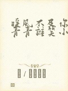 暖风不及你情深青青谁笑小说完整版txt