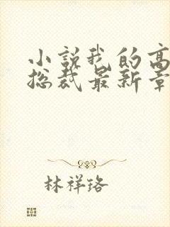 小说我的高冷女总裁最新章节