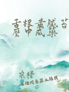 舌根黄腻苔吃什么中成药