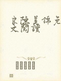 良陈美锦免费全文阅读