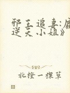 邪王追妻:废材逆天小姐》