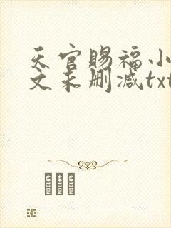 天官赐福小说全文未删减txt