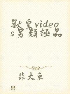 兽皇videos另类极品