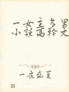 一女主多男主的小说高干文