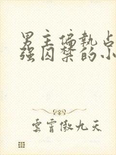 男主偏执占有欲强囚禁的小说